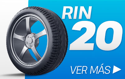 rin20